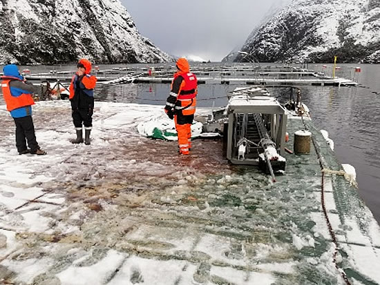チリ・マゼラン海峡鮭養殖海底60mの浄化実験　