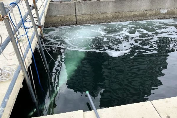 兵庫運河の海水浄化　　　　　